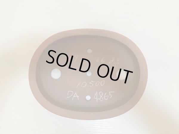 Photo4: No.DA4865 izumiya (4)