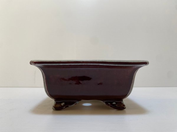 Photo3: No.DA4868 koyo (3)