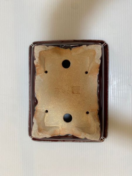 Photo5: No.DA4868 koyo (5)