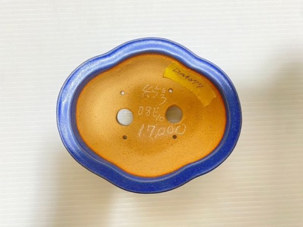 Photo4: No.DA4877 Reiho (4)