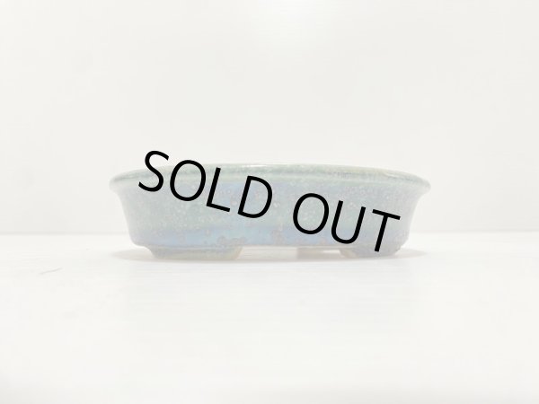 Photo2: No.DA4878 koyo (2)