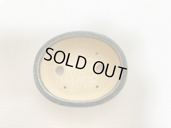 Photo4: No.DA4878 koyo (4)