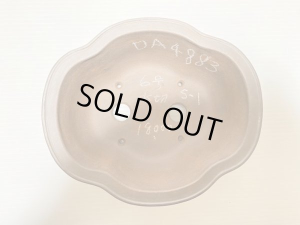 Photo4: No.DA4883 Reiho (4)