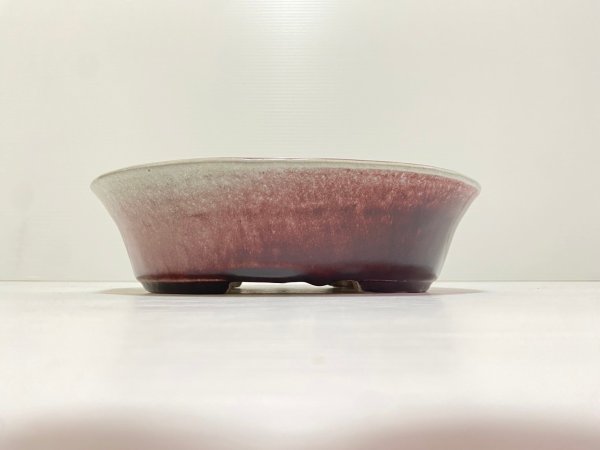 Photo2: No.DA4884 koyo (2)