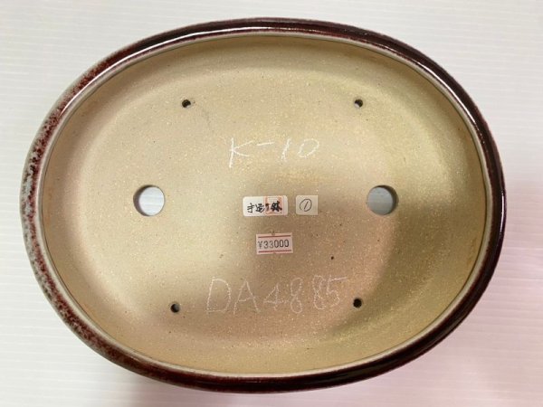 Photo4: No.DA4885 koyo (4)