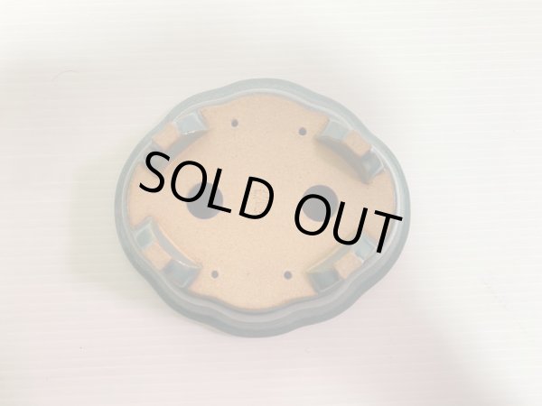 Photo5: No.DA4888 Reiho (5)