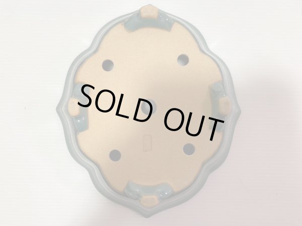 Photo5: No.DA4889 Reiho (5)