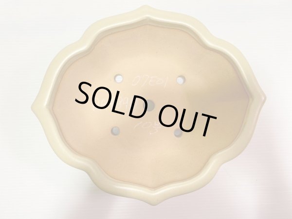 Photo4: No.DA4890 Reiho (4)