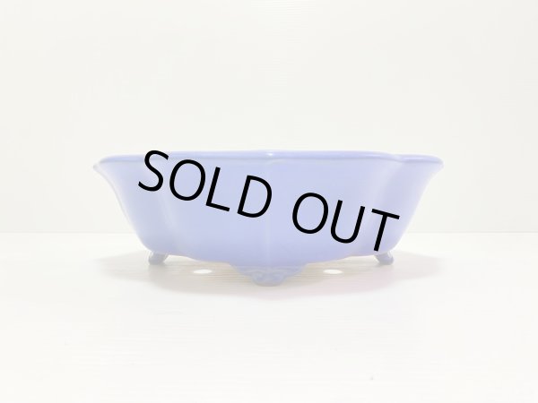 Photo2: No.DA4891 Reiho (2)