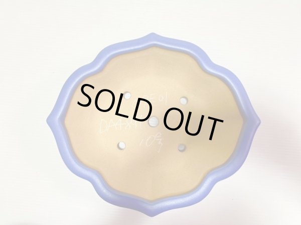 Photo4: No.DA4891 Reiho (4)