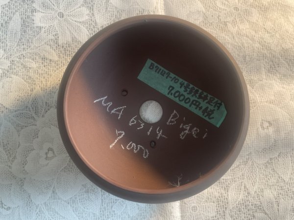 Photo2: No.MA6314 Bigei (2)