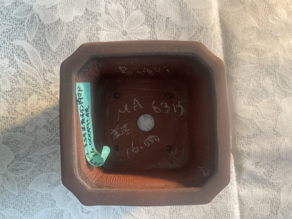 Photo2: No.MA6315 Bigei (2)