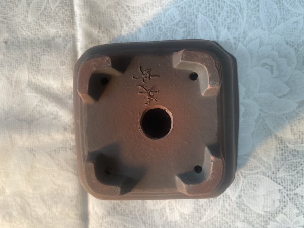 Photo3: No.MA6315 Bigei (3)