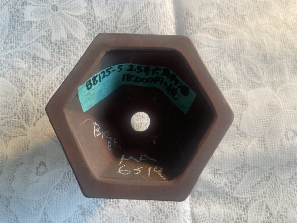 Photo2: No.MA6319 Bigei (2)