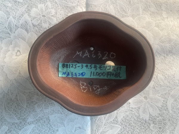Photo2: No.MA6320 Bigei (2)