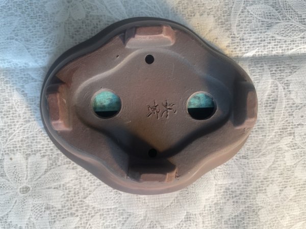 Photo3: No.MA6320 Bigei (3)