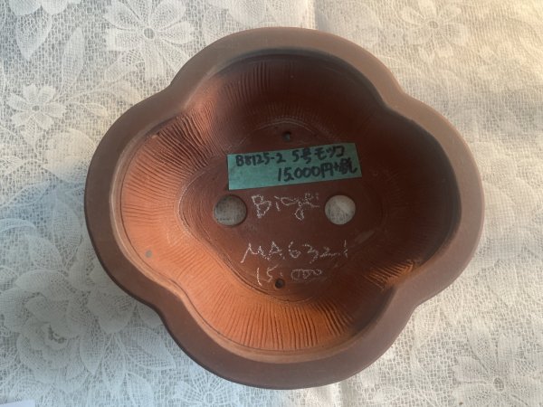 Photo2: No.MA6321 Bigei (2)