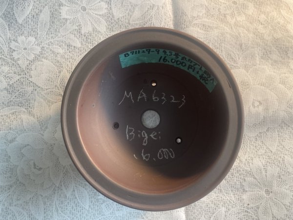 Photo2: No.MA6323 Bigei (2)