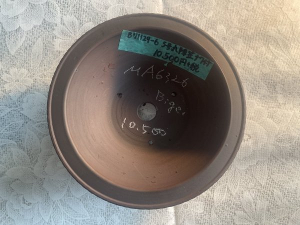 Photo2: No.MA6326 Bigei (2)