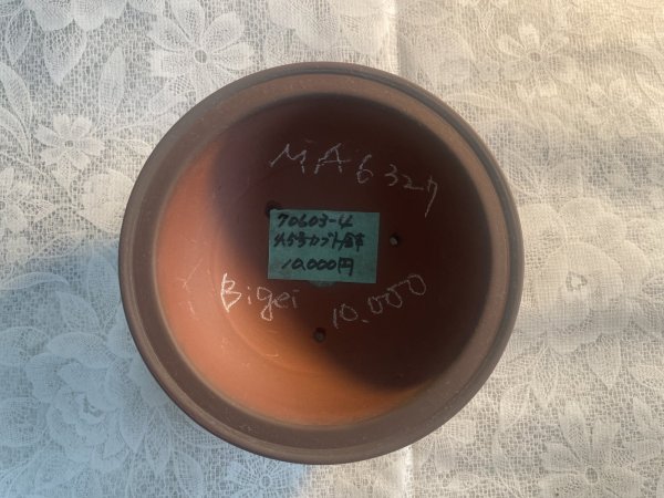 Photo2: No.MA6327 Bigei (2)