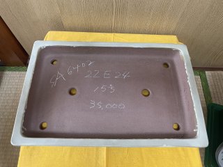 Bonsai pots | Bonsai Network Japan (Page 1)