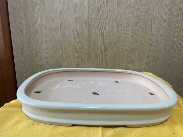 Photo1: No.SA6405 Reiho (1)