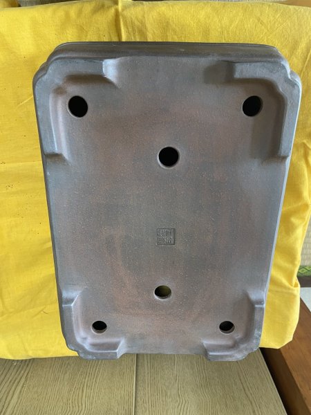 Photo3: No.SA6428 Reiho (3)