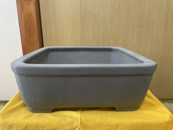 Photo1: No.SA6434  Kisen (1)