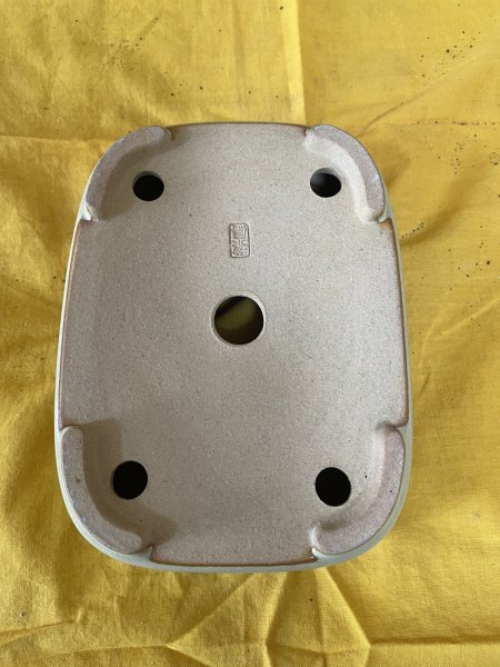 Photo3: No.SA6435 Reiho (3)