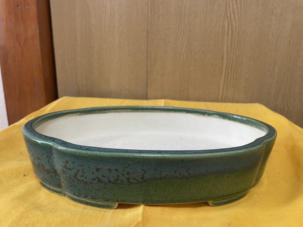 Photo1: No.SA6437 Koyo (1)