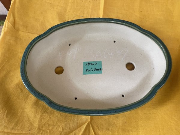 Photo2: No.SA6437 Koyo (2)