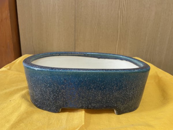 Photo1: No.SA6438 Koyo (1)