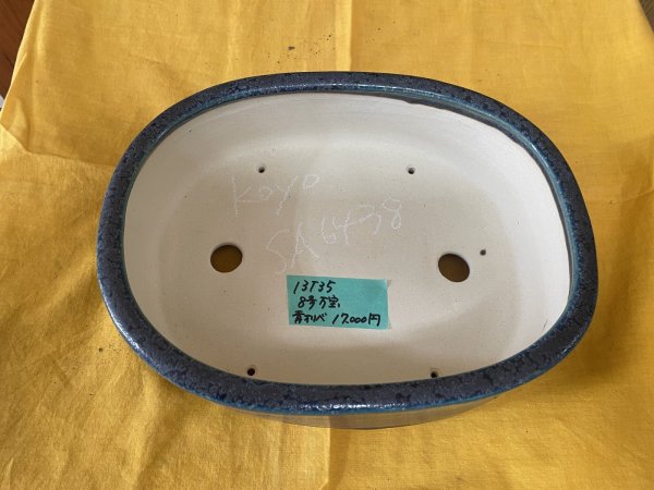 Photo2: No.SA6438 Koyo (2)