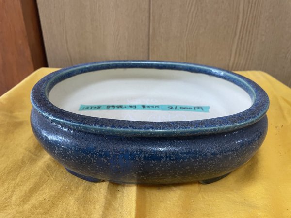 Photo1: No.SA6442 Koyo (1)