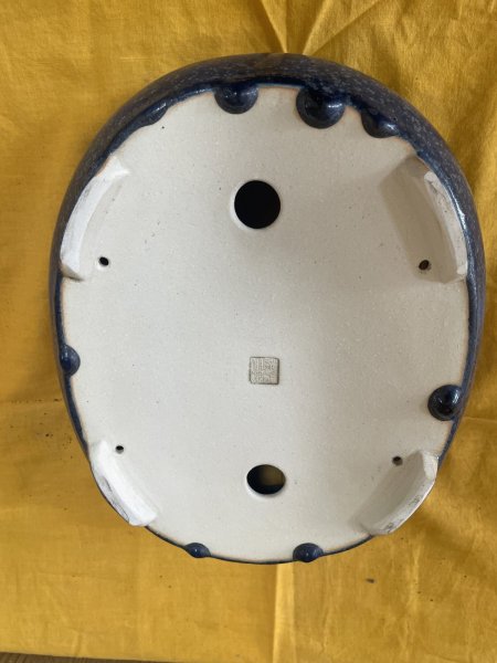 Photo3: No.SA6442 Koyo (3)