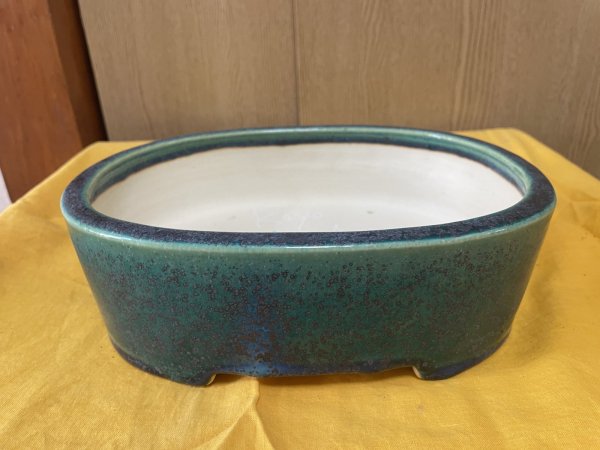 Photo1: No.SA6443 Koyo (1)