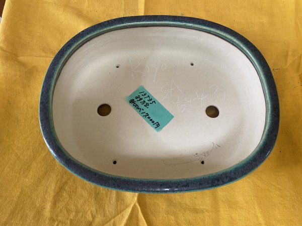 Photo2: No.SA6443 Koyo (2)