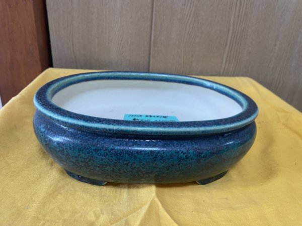 Photo1: No.SA6444 Koyo (1)