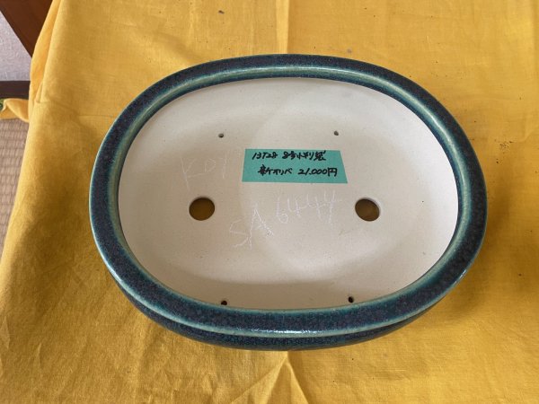 Photo2: No.SA6444 Koyo (2)