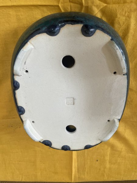 Photo3: No.SA6444 Koyo (3)