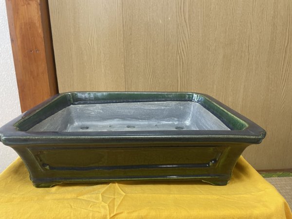 Photo1: No.SA6450 Mazan (1)