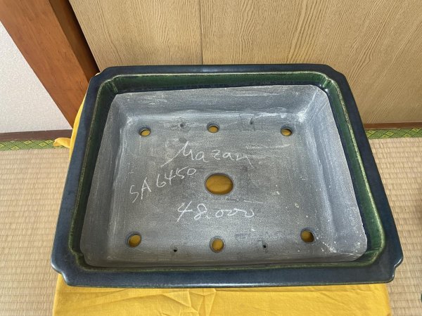 Photo2: No.SA6450 Mazan (2)