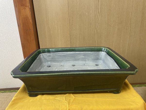 Photo1: No.SA6451 Mazan (1)