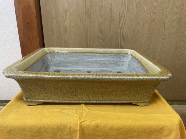 Photo1: No.SA6452 Mazan (1)