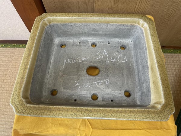 Photo2: No.SA6453 Mazan (2)