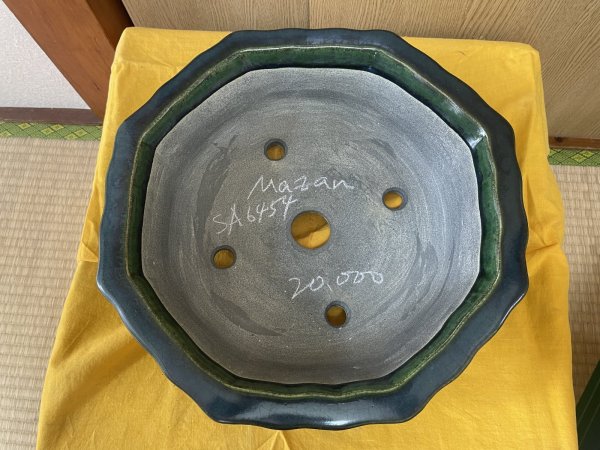 Photo2: No.SA6454 Mazan (2)