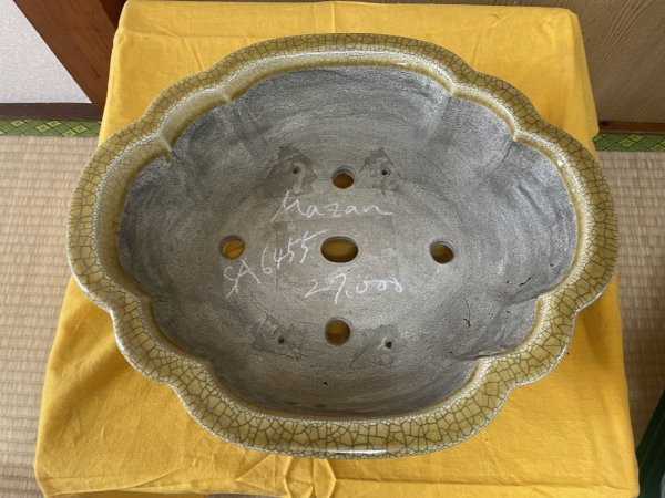 Photo2: No.SA6455 Mazan (2)