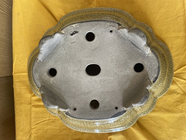 Photo3: No.SA6455 Mazan (3)