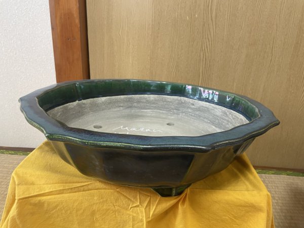 Photo1: No.SA6456 Mazan (1)