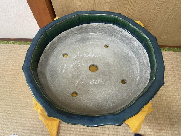 Photo2: No.SA6456 Mazan (2)